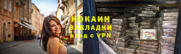 тгк Алзамай