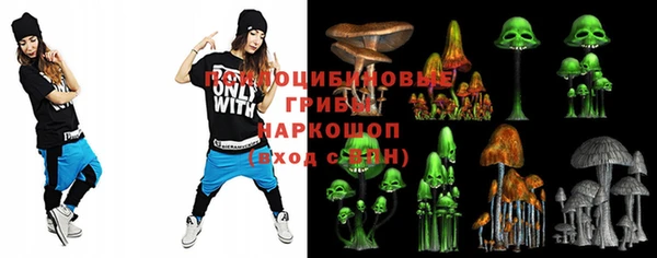 a pvp Алексин