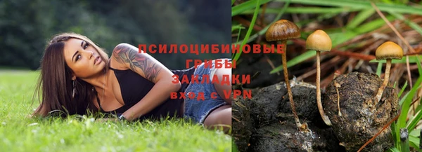 ALPHA-PVP Алексеевка