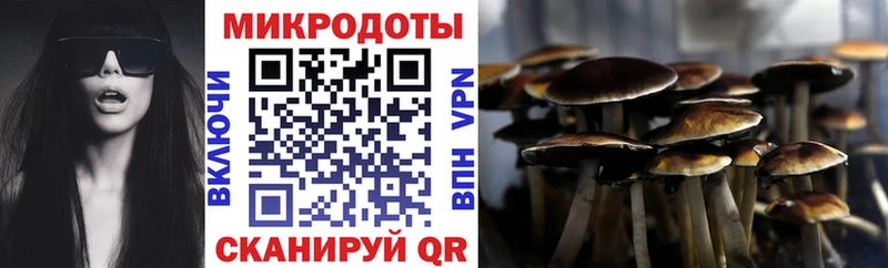 Псилоцибиновые грибы ЛСД  Новочеркасск 