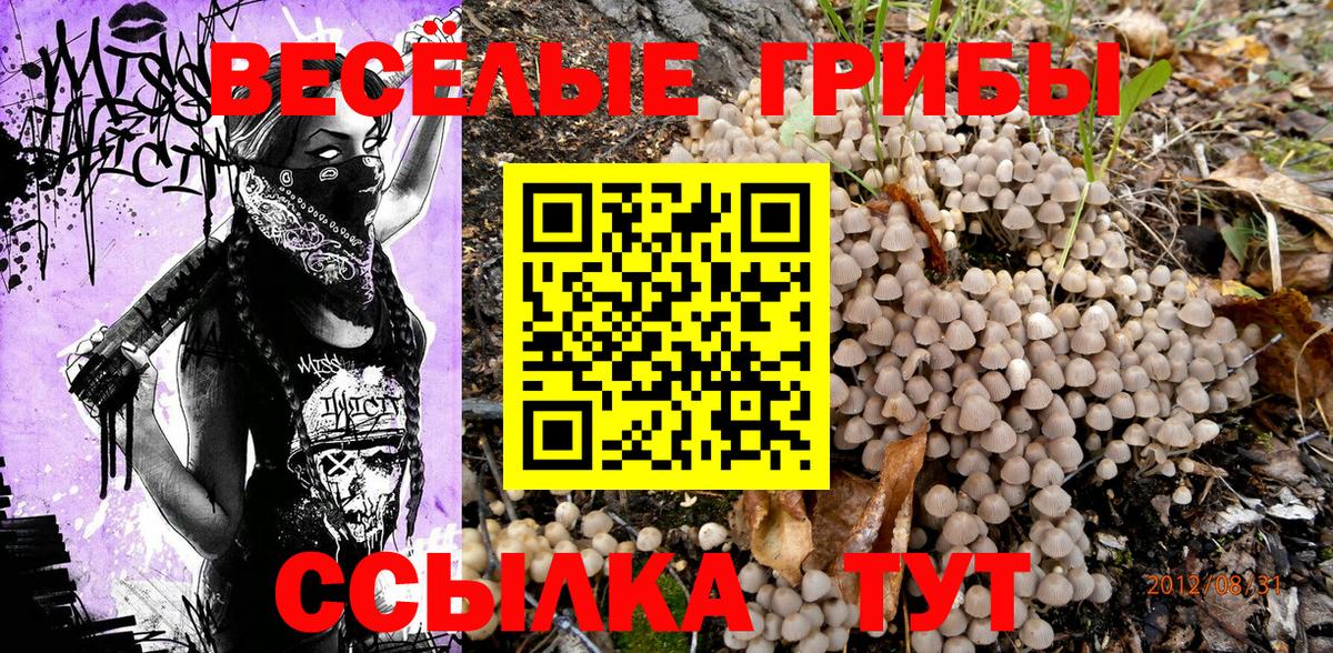 Псилоцибиновые грибы Cubensis  Вход с VPN  Новочеркасск  Псилоцибиновые грибы ЛСД 